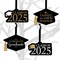 Big Dot of Happiness Tassel Worth The Hassle - Gold - 2025 Graduation Decorations - Tree Ornaments - Set of 12